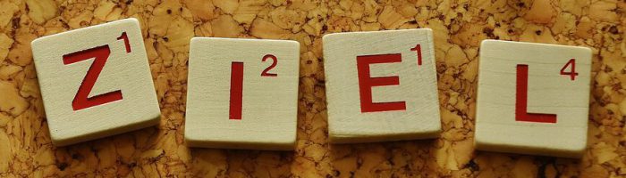 goal 2045925 1280 e1714044968751 qn88fx7cqksrsseleyfavgizylyhv55ibkd6dl1fps